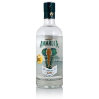 Image of Amarula Gin