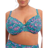 Image of Elomi Electric Savannah Plunge Bikini Top