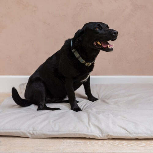 Dog Bed Duvet & Dog Bed Duvet Cover Med-Lge Polycotton Grey - Medium to Large