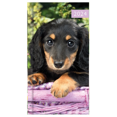 2024 Week To View Puppies/Kittens Diary Year Planner