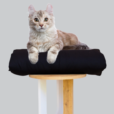 Cat Bed Mattress & Black Cover - Cat Bedding Set – The Big Little Duvet Company