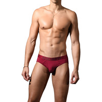 Andrew Christian Bespoke Modal Brief