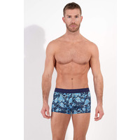 HOM Buchanan Trunk
