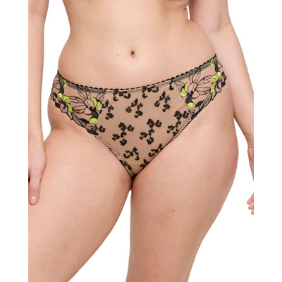 Prima Donna Manali Rio Briefs - Wild Bloom