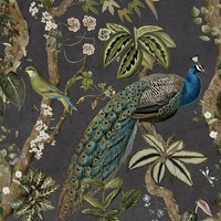 Peacock Woods Wallpaper Charcoal / Multi Holden 13681