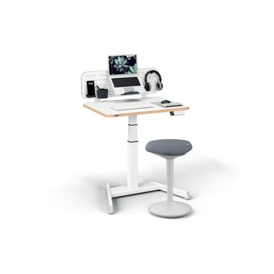 Leitz Ergo Small Electric Sit Standing Desk with Stand-Up Reminder