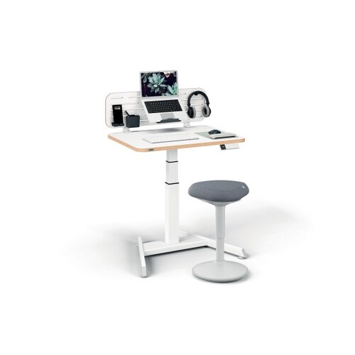 Leitz Ergo Small Electric Sit Standing Desk with Stand-Up Reminder