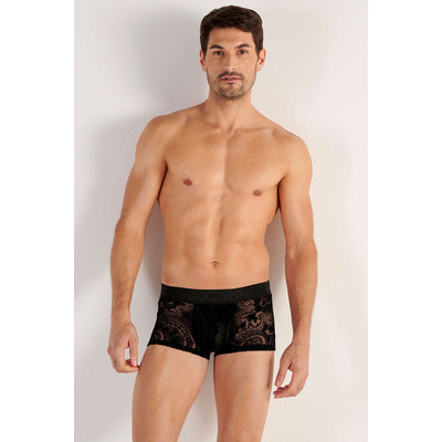 HOM Temptation Rhapsody Trunk