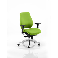 Image of Chiro Plus 'Ergo' Posture Chair with Arms Myrrh Green