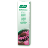 Image of A.Vogel Echinacea Toothpaste 100g