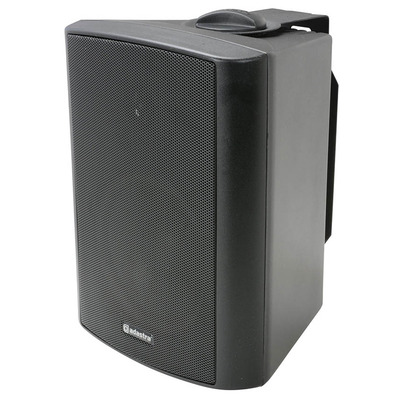 100 Volt Background Speaker 5.25" Black