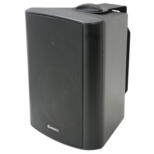100 Volt Background Speaker 5.25" Black