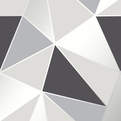 Apex Geometric Wallpaper Black and Silver Fine Decor FD41994