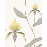 Image of orchid-restyled (IEC-95-10057)