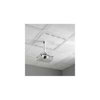 Image of Chief CMS492C Ceiling Stainless steel,White project mount