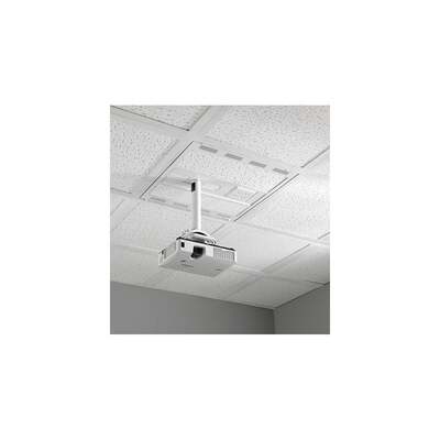Chief CMS492C Ceiling Stainless steel,White project mount