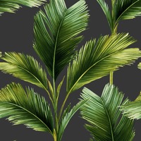 Image of Kailani Leaf Wallpaper Charcoal / Green Belgravia 59115