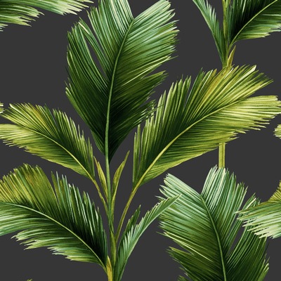 Kailani Leaf Wallpaper Charcoal / Green Belgravia 59115