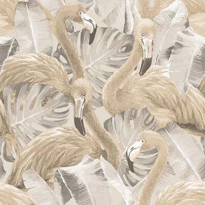 Global Fusion Flamingos Wallpaper Brown Galerie G56404
