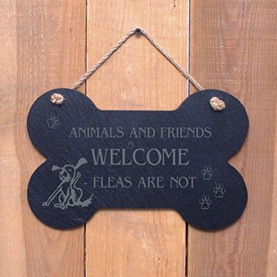Large Bone Slate hanging sign - "Animals and Friends Welcome Fleas are NOT" -...