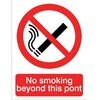 Image of No Smoking Beyond This Point sign