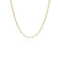 Image of Elongated Oval Chain Necklace - Gold