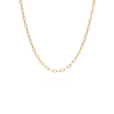 Elongated Oval Chain Necklace - Gold
