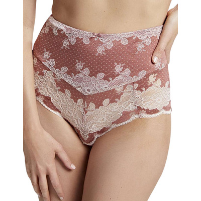 Panache Clara High Waist Brief
