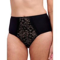 Image of Anita Helen High Waist Briefs