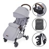 Image of Ickle Bubba Globe Prime Stroller (Frame: Silver, Fabric Colour: Grey)
