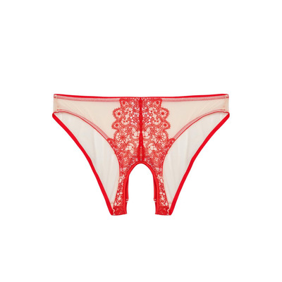 Playful Promises Anaise Ouvert Brief