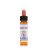 Image of Healing Herbs Ltd Cherry Plum - 10ml