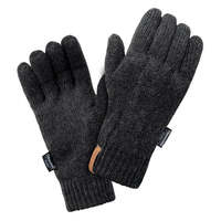 Image of Elbrus Mens Remos Gloves - Gray