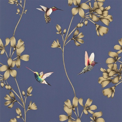 Harlequin Amazilia Hummingbird Wallpaper Indigo Blue / Gold HAMA111059