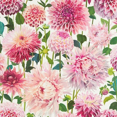 Harlequin Dahlia Wallpaper Blossom / Emerald / New Beginnings HQN2112843