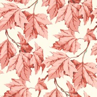 Harlequin X Sophie Robinson Dappled Leaf Wallpaper Rose Quartz HSRW113048