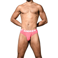 Image of Andrew Christian Trophy Boy Bamboo Brief 93377