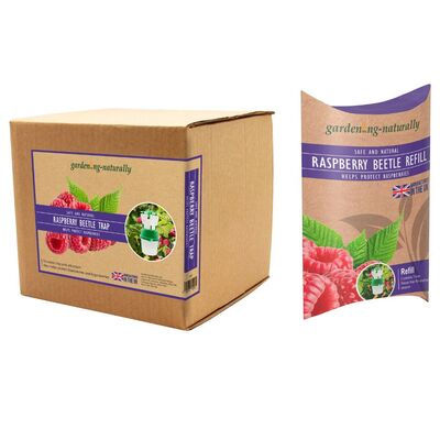 Raspberry Beetle Trap and Refills with Attractant