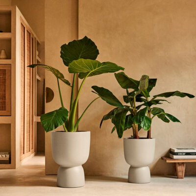 Elho Amber Coupe 35 - White - Indoor and Outdoor - 100% Recycled
