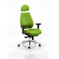 Image of Chiro Plus 'Ergo' Posture Chair with Arms and Headrest Myrrh Green