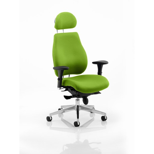 Chiro Plus 'Ergo' Posture Chair with Arms and Headrest Myrrh Green