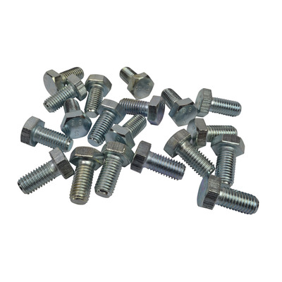 M12 Bolt 25mm Long Pack of 20