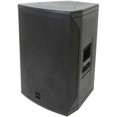 12 Inch 300 Watt Passive Speaker by Citronic