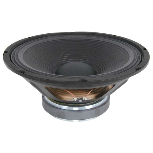 12" Speaker Driver 200 Watts