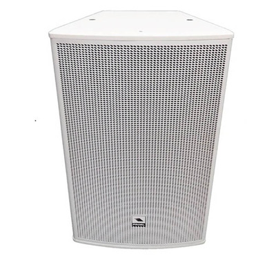 Proel LT12P 12 Inch Speaker Cabinet 300W White