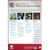 Image of ASEC HSE01 Health & Safety Poster 800mm x 600mm PVC Sign - Single Poster