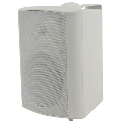 100 Volt Background Speaker 6.5" White