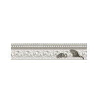 Image of Paddy and Louis by Cole & Son - Grey & White - Wallpaper - 103/6025