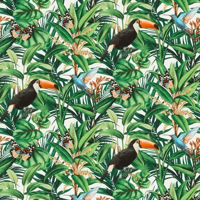 Paradisio 2 Jungle Birds Wallpaper White Erismann 10121-07
