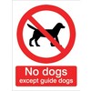 Image of No Dogs Except Guide Dogs Sign
